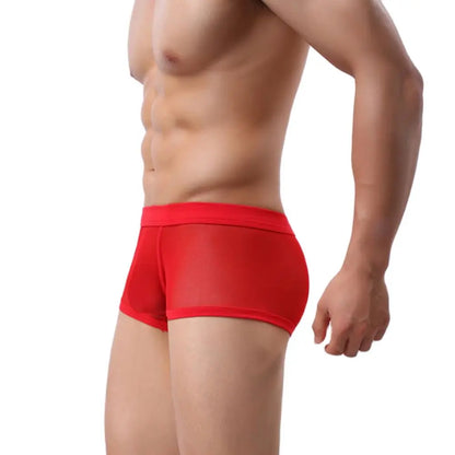 CLEVER-MENMODE Mesh Boxer