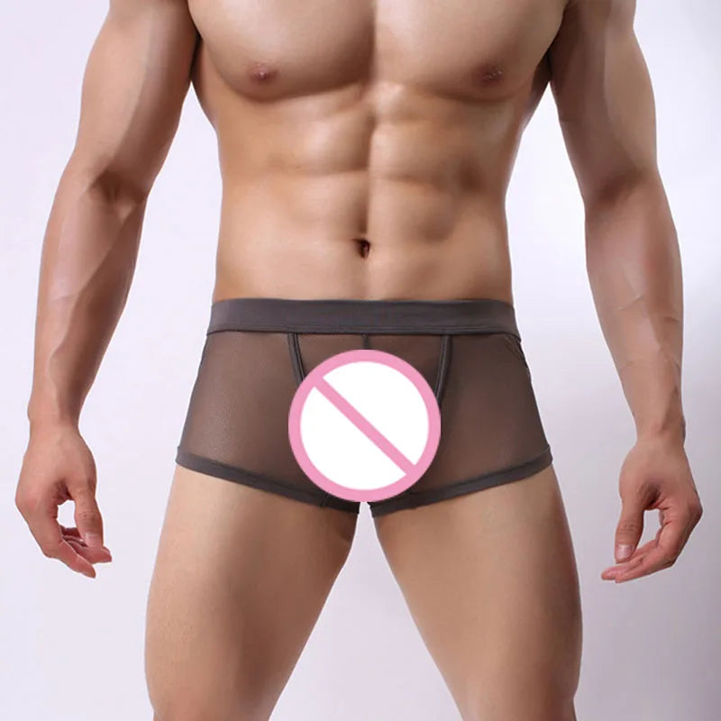 CLEVER-MENMODE Mesh Boxer