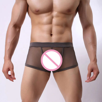 CLEVER-MENMODE Mesh Boxer