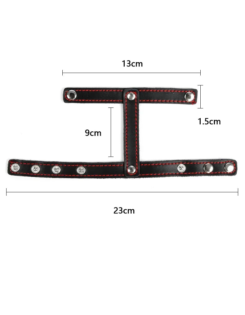 Leather Penis Ring w/  Long Chain Nipple Clamps Attached