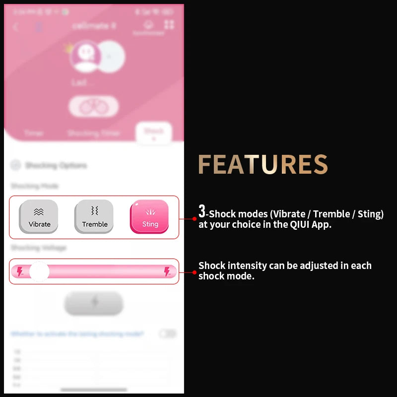 QIUI Cellmate 2 Penis Cage Electric Shock Chastity Lock