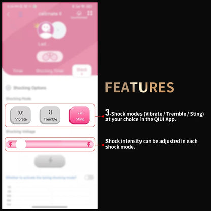 QIUI Cellmate 2 Penis Cage Electric Shock Chastity Lock