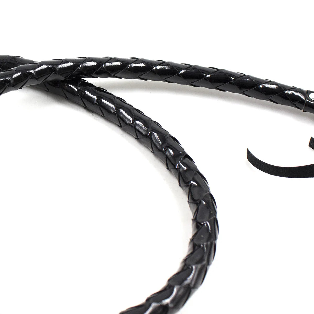 Long bull whip