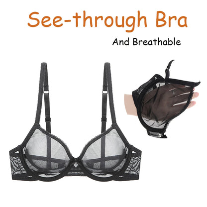 41278005379135|41278005411903|41278005444671